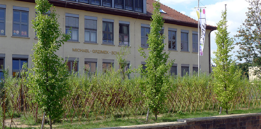 Grundschule Grzimek-Schule Frankfurt a.M.