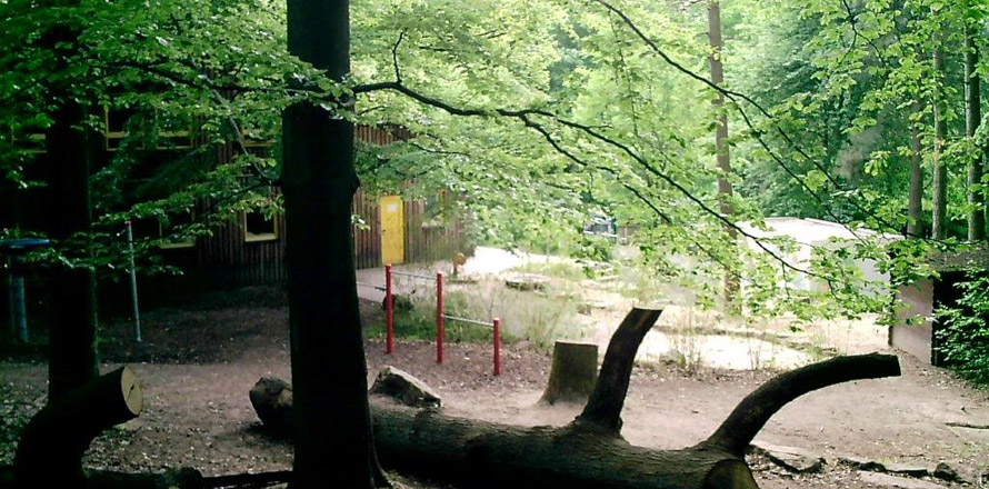 Waldkindergarten Marburg